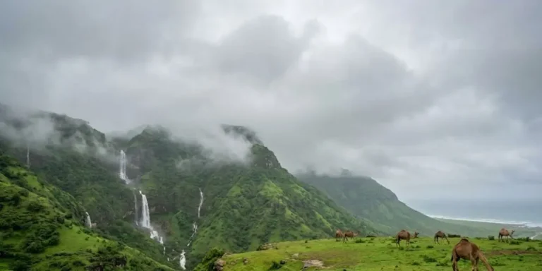Voyage à Salalah Oman