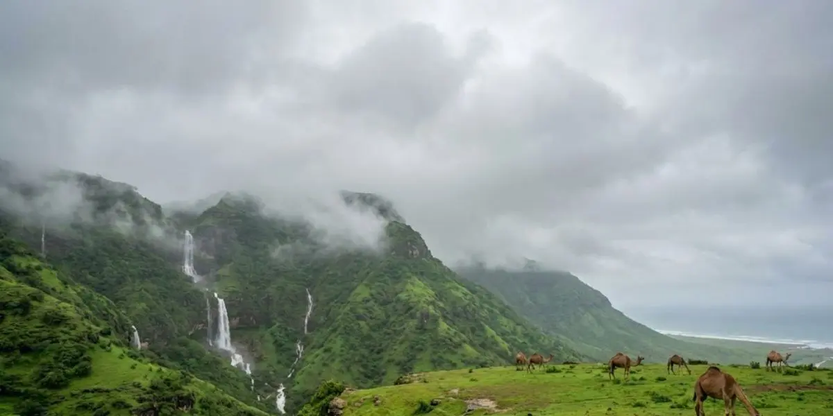 Voyage à Salalah Oman