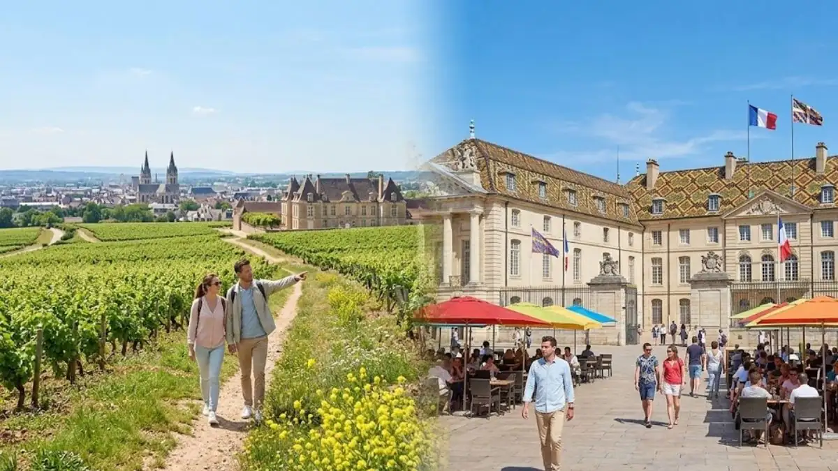 quelle periode pour aller a dijon