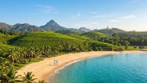 quelle periode pour aller au sri lanka